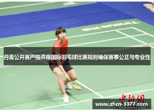 丹麦公开赛严格遵循国际羽毛球比赛规则确保赛事公正与专业性