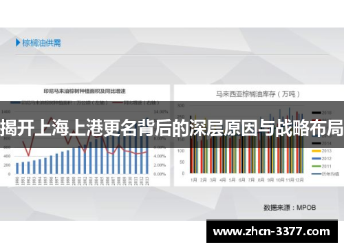 揭开上海上港更名背后的深层原因与战略布局 揭开上海上港更名背后的深层原因与战略布局