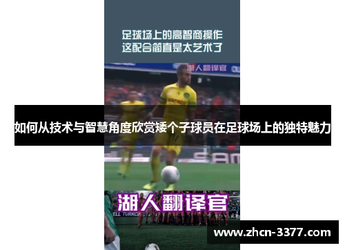 如何从技术与智慧角度欣赏矮个子球员在足球场上的独特魅力