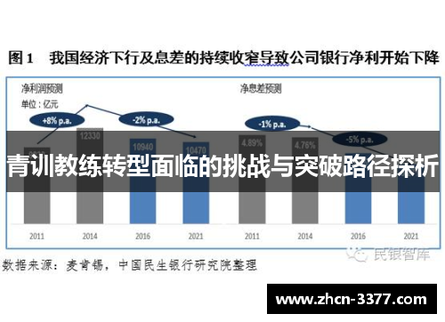 青训教练转型面临的挑战与突破路径探析