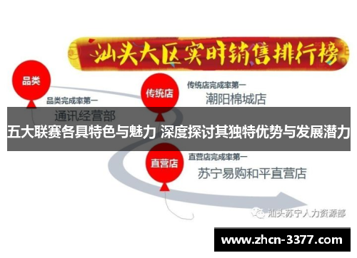 五大联赛各具特色与魅力 深度探讨其独特优势与发展潜力 五大联赛各具特色与魅力 深度探讨其独特优势与发展潜力