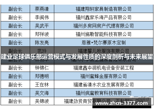 建业足球俱乐部运营模式与发展性质的深度剖析与未来展望