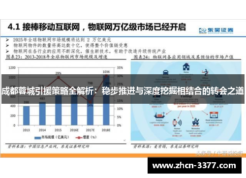 成都蓉城引援策略全解析：稳步推进与深度挖掘相结合的转会之道