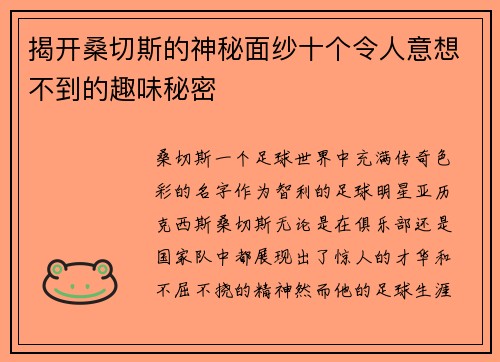 揭开桑切斯的神秘面纱十个令人意想不到的趣味秘密