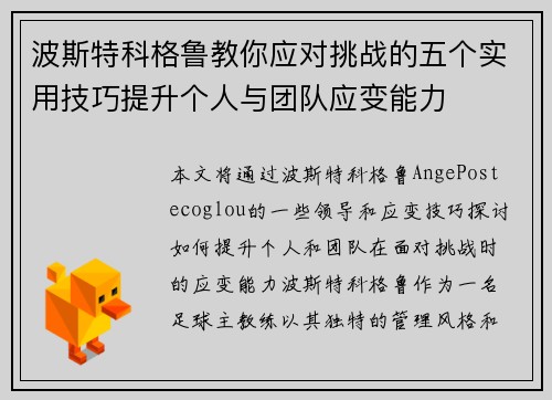 波斯特科格鲁教你应对挑战的五个实用技巧提升个人与团队应变能力